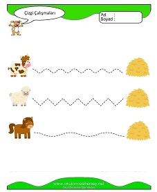 Çizgi Çalışma Sayfaları